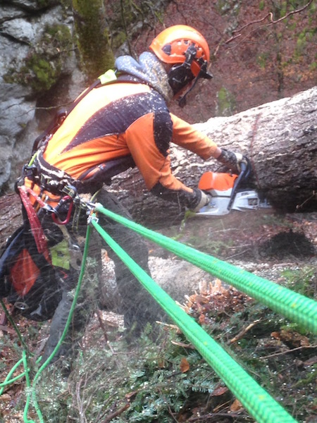 Travaux de bûcheronnage sur cordes